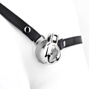 metal chastity cage vagina male inverted back product view