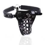 Male Chastity Belt Harness with Lock Cock for Men