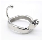 The Ring of Extended Long Metal Chastity Cage