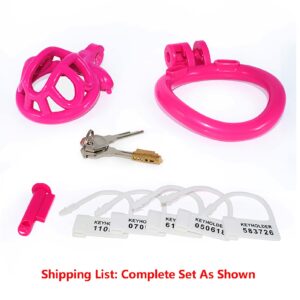 chastity cage 3D small set cock wearing guide graphic