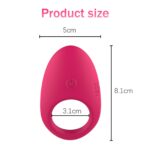 kinksterhub A rose-red vibrating cock ring with a separate remote control.