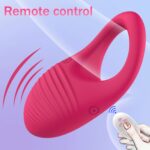 kinksterhub A rose-red vibrating cock ring with a separate remote control.