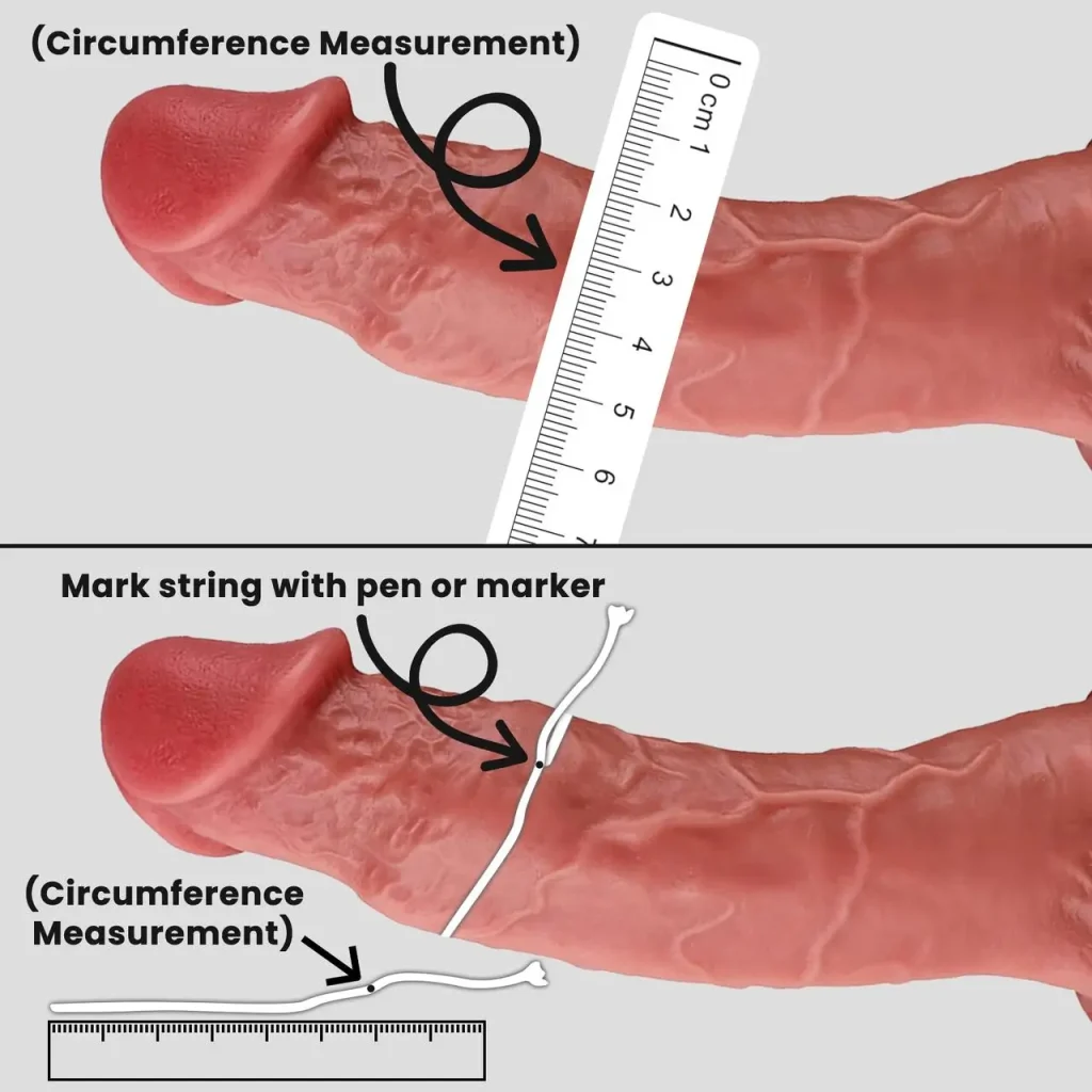 Measurements in the erect state