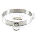 Front view of silver metal choker collar necklace with key