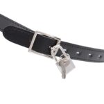 Dildo Head Double Gag's Belt within lock