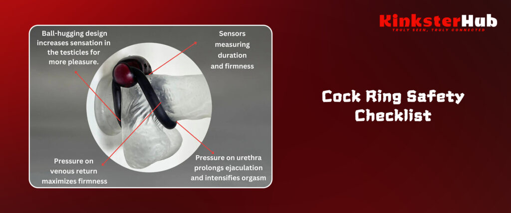 How to Put On and Wear a Cock and Ball Ring Safely | Kinksterhub Blog