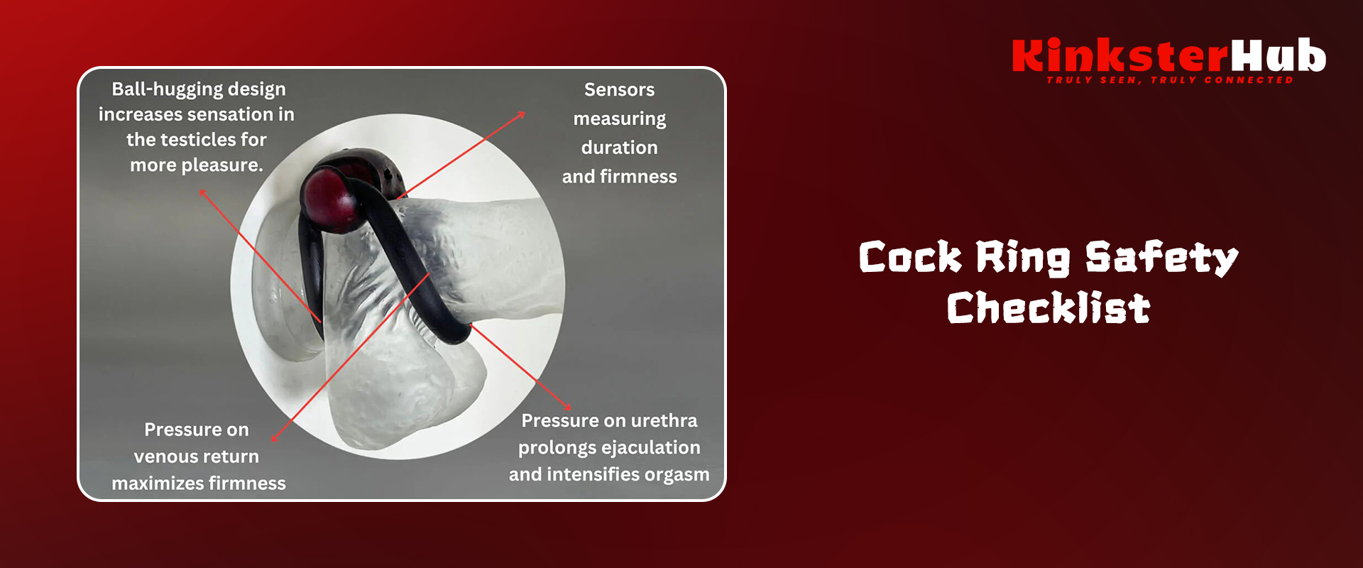 How to Put On and Wear a Cock and Ball Ring Safely | Kinksterhub Blog
