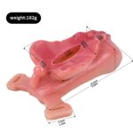 Each size of Realistic Vagina Chastity Cage