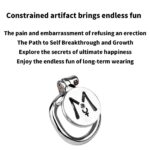 Hollow Metal Chastity Cage