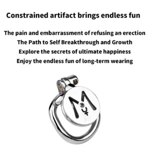 Hollow Metal Chastity Cage