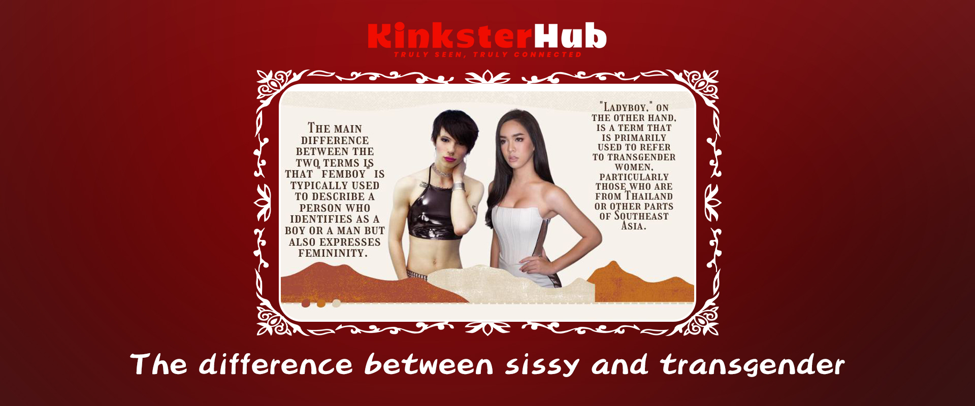 Diagram explaining kink role vs gender identity