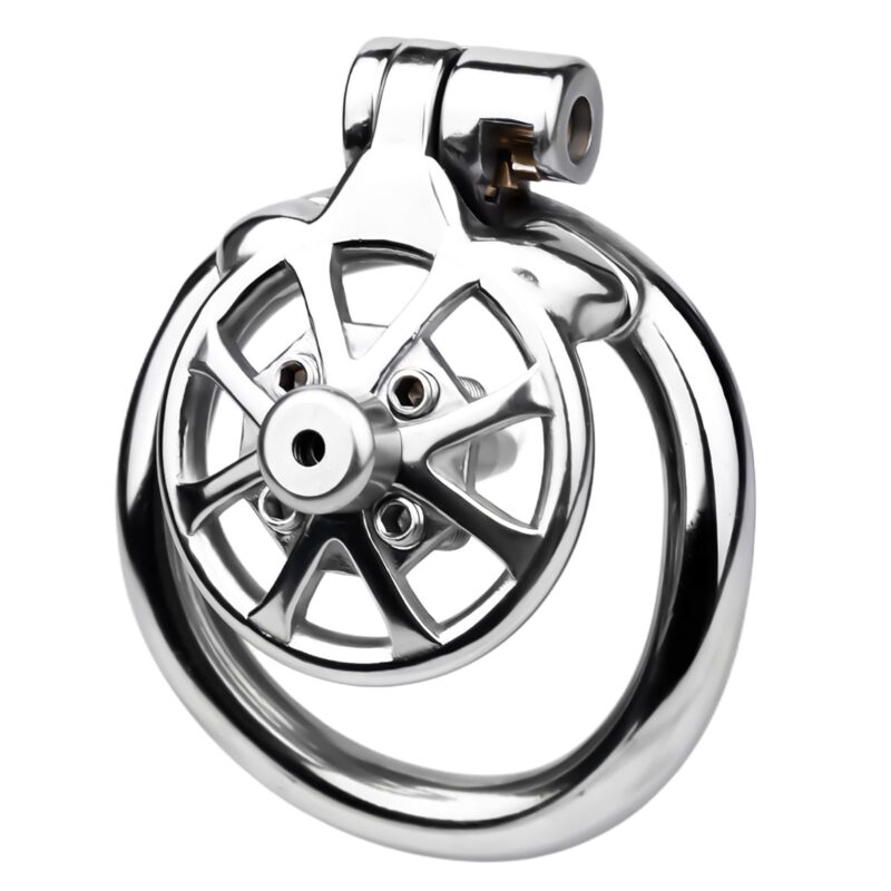 Stainless Steel Spiked Extreme Chastity Cage Stainless Steel Spiked Extreme Chastity Cage