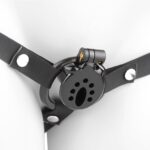 Wearing the Chastity Cage