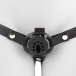 Wearing the Chastity Cage