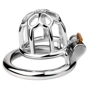 Stainless steel chastity cage front view with lock