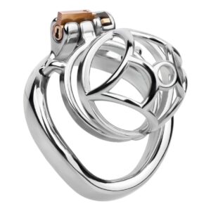 Stainless Steel Chastity Cage Stealth Lock for Adults Solitary Extreme Confinement Cage