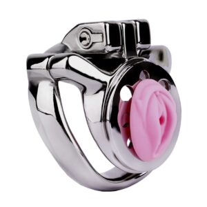 Pussy-Shaped Inverted Chastity Cage-Stainless Steel Flat Male Lock for BDSM Control