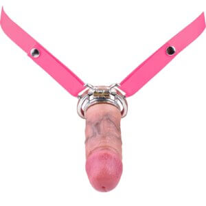 Small Inverted Sissy Chastity Cage with Removable Silicone Dildo