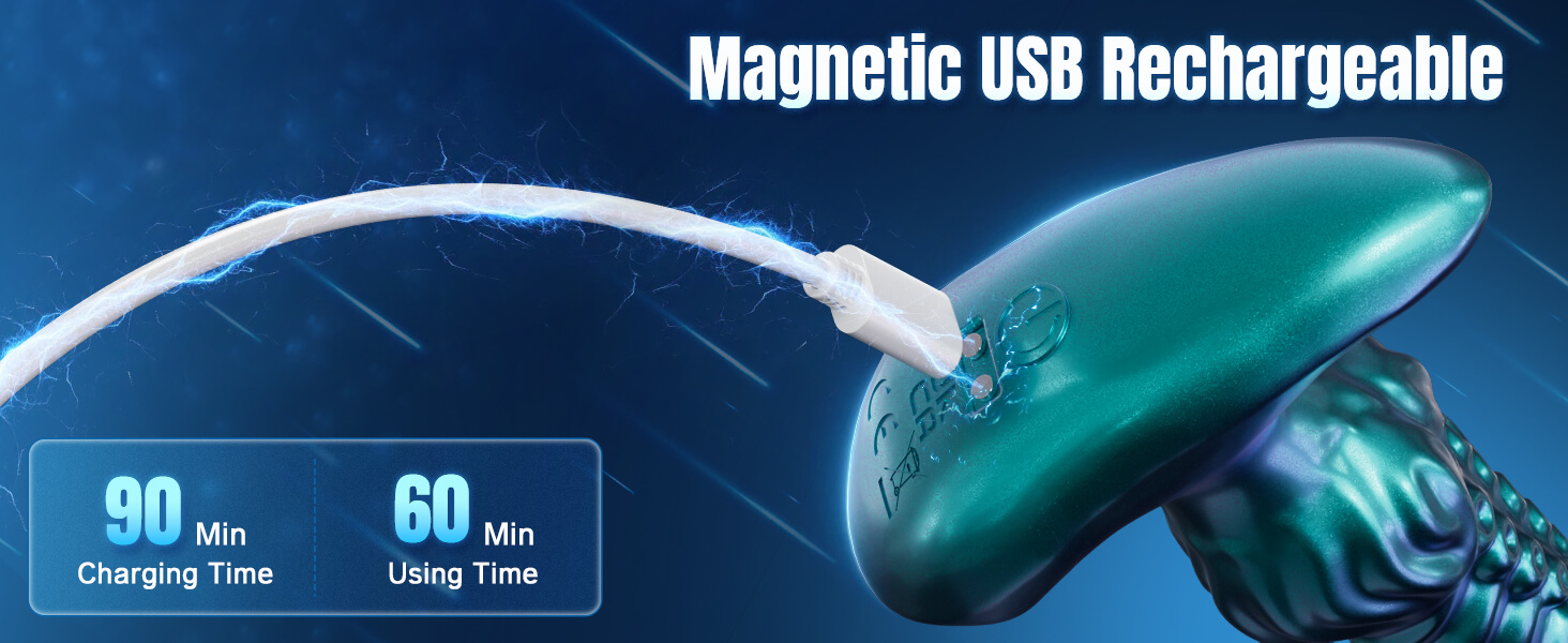 anal plug