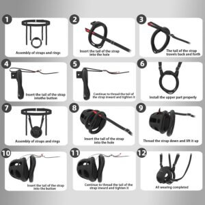 Adjustable harness strap setup for the chastity cage